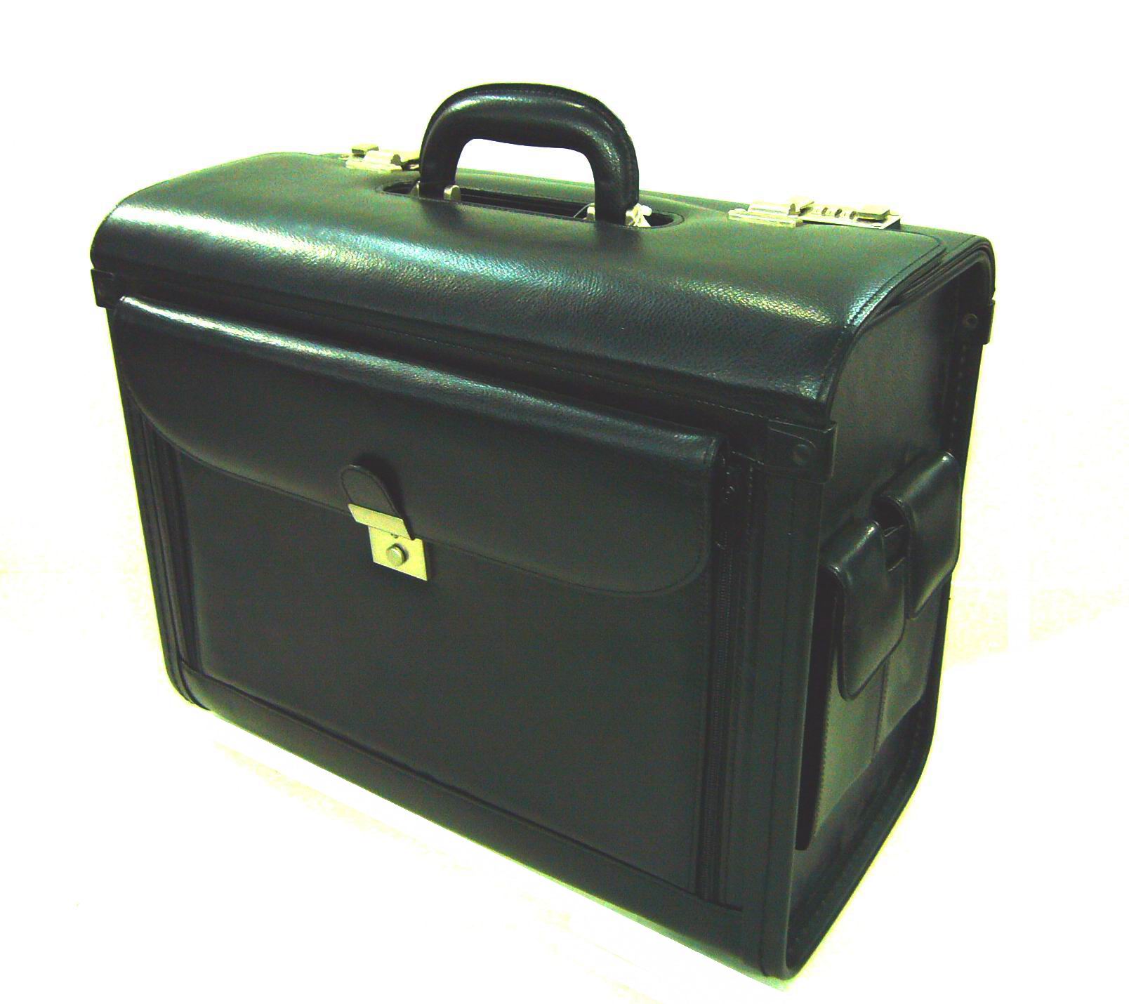 Pilot Case